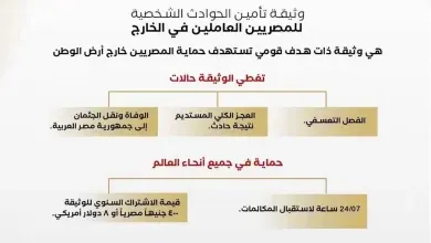 المصرين بالخارج: ومظلة تأمينية جديدة لتعويضهم عند الوفاة والفصل التعسفي والترحيل
