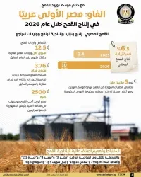 مصر الأولى عربيًا في إنتاج القمح خلال عام 2026 وفقًا لتقديرات "الفاو"