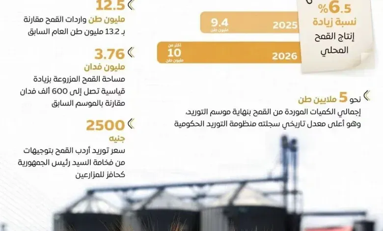 مصر الأولى عربيًا في إنتاج القمح خلال عام 2026 وفقًا لتقديرات "الفاو"