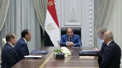 الرئيس السيسي يوجه بزيادة إنتاج البترول والغاز وتعظيم القيمة المضافة للثروات المعدنية