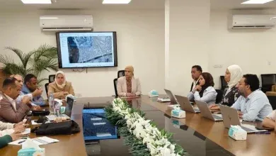 القومي لتنظيم الإعلانات يفرض ضوابط جديدة على آلاف الإعلانات بالقاهرة والجيزة
