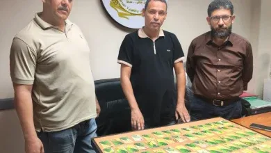 تموين الاٍسكندرية ضبط 100 بطاقة تموينية بأحد المخابز البلدية