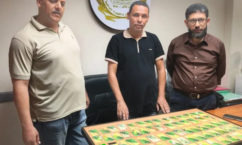 تموين الاٍسكندرية ضبط 100 بطاقة تموينية بأحد المخابز البلدية