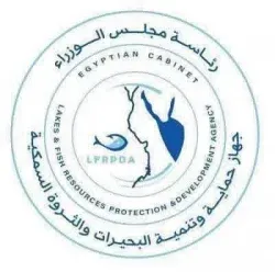 حماية البحيرات توسع دعمها لسيدات كفر الشيخ بمعدات حديثة لحفظ الأسماك