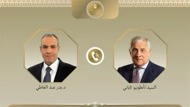 عبد العاطي ونظيره الإيطالي يبحثان تطورات المنطقة وخفض التصعيد