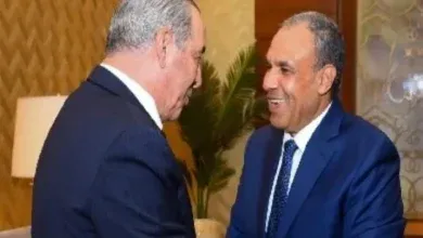 وزير الخارجية يبحث مع نائب رئيس فلسطين تطورات غزة وجهود تنفيذ خطة السلام