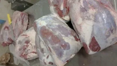 ضبط نحو 1.7 طن من اللحوم ومصنعاتها والمواد الحيوانية داخل مخزن مخالف بالإسكندرية
