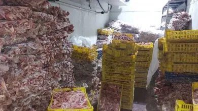 محافظة الجيزة تضبط 28 طن لحوم وأغذية فاسدة و36 ألف زجاجة مشروبات طاقة مجهولة المصدر.