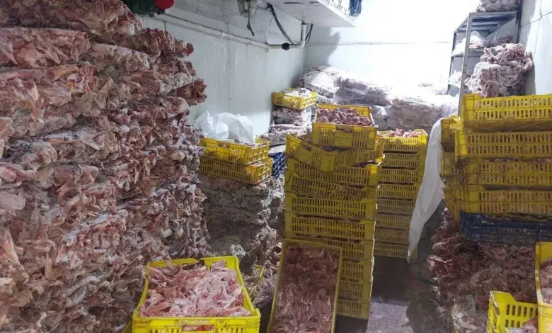 محافظة الجيزة تضبط 28 طن لحوم وأغذية فاسدة و36 ألف زجاجة مشروبات طاقة مجهولة المصدر.