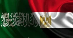 مشروع مصري سعودي باستثمارات تصل إلى 50 مليون دولار لإنتاج ألواح الكلادينج بالسخنة
