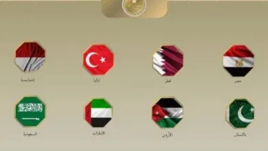 مصر و7 دول تدين الانتهاكات الإس-رائي-لية في غزة وتطالب بوقف دائم لإطلاق النار