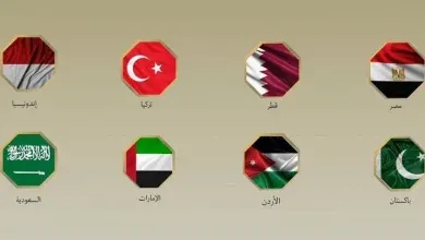 مصر و7 دول عربية وإسلامية تدين رفض إس-رائ-يل خارطة إنهاء حرب غزة