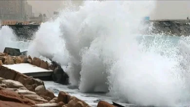 ملتم أغسطس ظاهرة بحرية موسمية تؤتر على شواطىء الإسكندرية