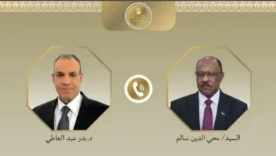 وزير الخارجية يبحث مع نظيره السوداني تعزيز العلاقات وتطورات الأوضاع في السودان