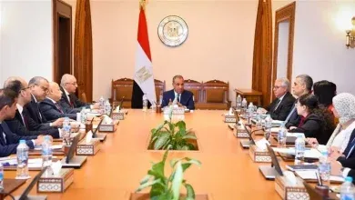 وزير الخارجية يوجه بتكثيف التحرك الدولي لدعم الاستثمار وزيادة الصادرات المصرية