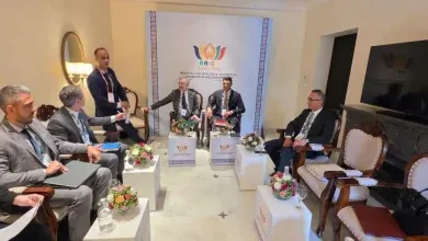 وزير الصناعة يعزز شراكات مصر الصناعية مع البرازيل والصين