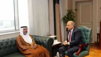 وزير الكهرباء يستقبل سفير دولة الإمارات العربية المتحدة بالقاهرة لبحث سبل دعم وتعزيز التعاون.