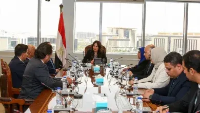 وزيرة الإسكان تبحث مع تحالف عالمي إدارة حي المال والأعمال بالعاصمة الجديدة