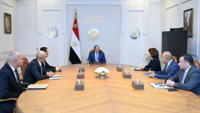 الرئيس السيسى يستقبل اليوم الرئيسة التنفيذية لمجموعة "أورنج" العالمية