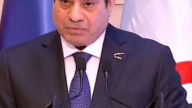 السيسي يؤكد موقف مصر الثابت في دعم أمن وسيادة الدول العربية