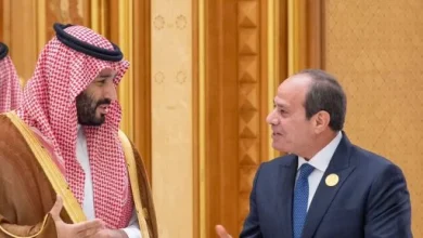 الرئيس السيسي يجتمع وولي عهد السعودية لبحث العلاقات المصريه السعودية 