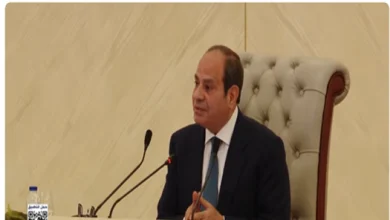 خبير علاقات دولية: خطاب الرئيس السيسى يعكس رؤية شاملة لمواجهة التحديات
