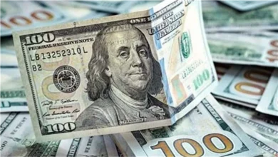 سعر الدولار مقابل الجنيه المصري في بداية تعاملات اليوم الاثنين 7-9-2026
