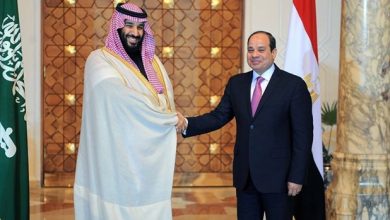 الرئيس السيسي وولي عهد السعوديه علي طاولة المباحثات
