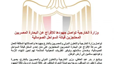 الخارجية تواصل جهودها للإفراج عن البحارة المصريين المحتجزين قبالة السواحل الصومالية