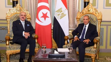 وزير الخارجية يلتقي نظيره التونسي بالقاهرة