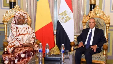 وزير الخارجية يلتقي وزيرة ريادة الأعمال والتوظيف والتدريب الفني بجمهورية مالي