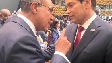 وزير الخارجية يلتقي وماركو وزير الخارجية الأمريكي