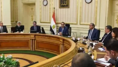 مجلس الوزراء يوافق على مشروع قانون بشأن شهداء وضحا-يا ومفقودي العمليات الإر-هابية