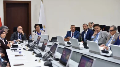 نائب وزير الصحة تعقد مائدة مستديرة حول صحة الأم وحديثي الولادة ورعاية ما حول الولادة