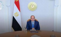 السيسي يوجه وزارة الداخلية بترشيد تكاليف تراخيص السيارات