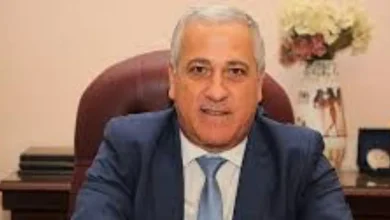 الشوربجي: الصحافة القومية أحد أهم أدوات القوى الناعمة المصرية