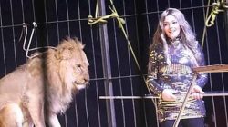 فاتن الحلو تعود إلى دار كبار الفنانين بعد تحسن حالتها