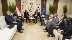 الرعاية الصحية تبحث مع الخارجية توسيع التعاون الطبي مع إفريقيا