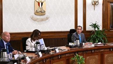 رئيس الوزراء: الإعداد لإقامة حدائق عامة على مساحات كبيرة بعدد من المدن الجديدة.