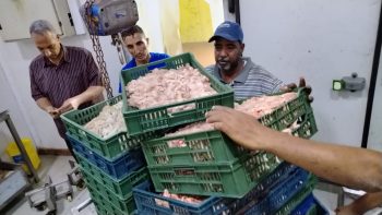 ضبط 1.450 طن من اللحوم والدواجن والتوابل غير الصالحة للاستهلاك بحي الجمرك