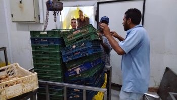 ضبط 1.450 طن من اللحوم والدواجن والتوابل غير الصالحة للاستهلاك بحي الجمرك