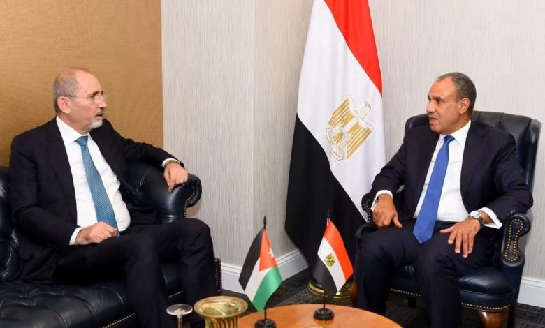 عبد العاطي والصفدي يبحثان تعزيز العلاقات المصرية الأردنية وتطورات المنطقة