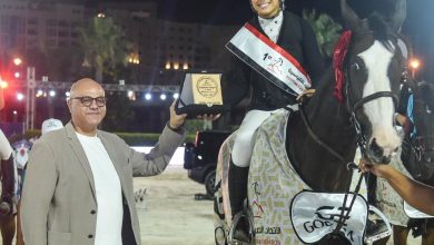 محافظ الإسكندرية يشهد افتتاح بطولة الجمهورية للفروسية لقفز الحواجز بنادي سموحة