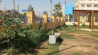 محافظ سوهاج يُحيل واقعة طرد سيدة من حديقة عامة للتحقيق