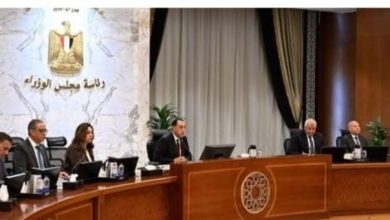 مدبولي يحظر قطع الأشجار نهائياً إلا بالعودة إلى وزيرة التنمية المحلية والبيئة