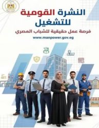 وزارة العمل تطرح 958 فرصة عمل جديدة في 12 محافظة