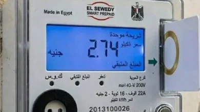 وزارة الكهرباء والطاقة تيسر إجراءات تحويل 1.2 مليون عداد كودي إلى نظام قانوني.