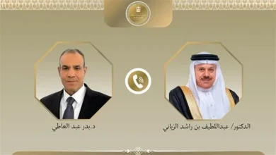 وزير الخارجية ونظيره البحريني يبحثان تطورات المنطقة ويؤكدان ضرورة خفض التصعيد
