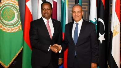 وزير الخارجية يبحث مع نظيره الصومالي سبل تعزيز الشراكة الاستراتيجية وتطورات الأوضاع بالصومال.