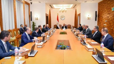 وزير الخارجية يتابع توجيهات الرئيس بشأن الأزمات الإقليمية